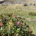 Alti-studio Pied Des Pistes Balcon Vue Montagne 4-5 Personnes Appartamento