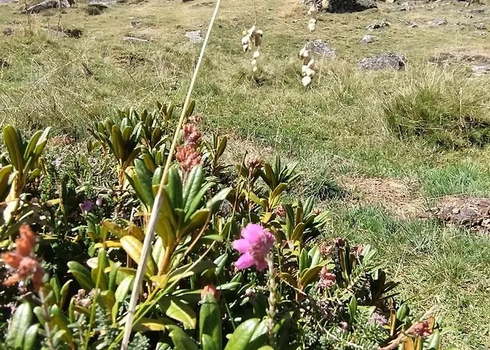 Alti-studio Pied Des Pistes Balcon Vue Montagne 4-5 Personnes Apartman